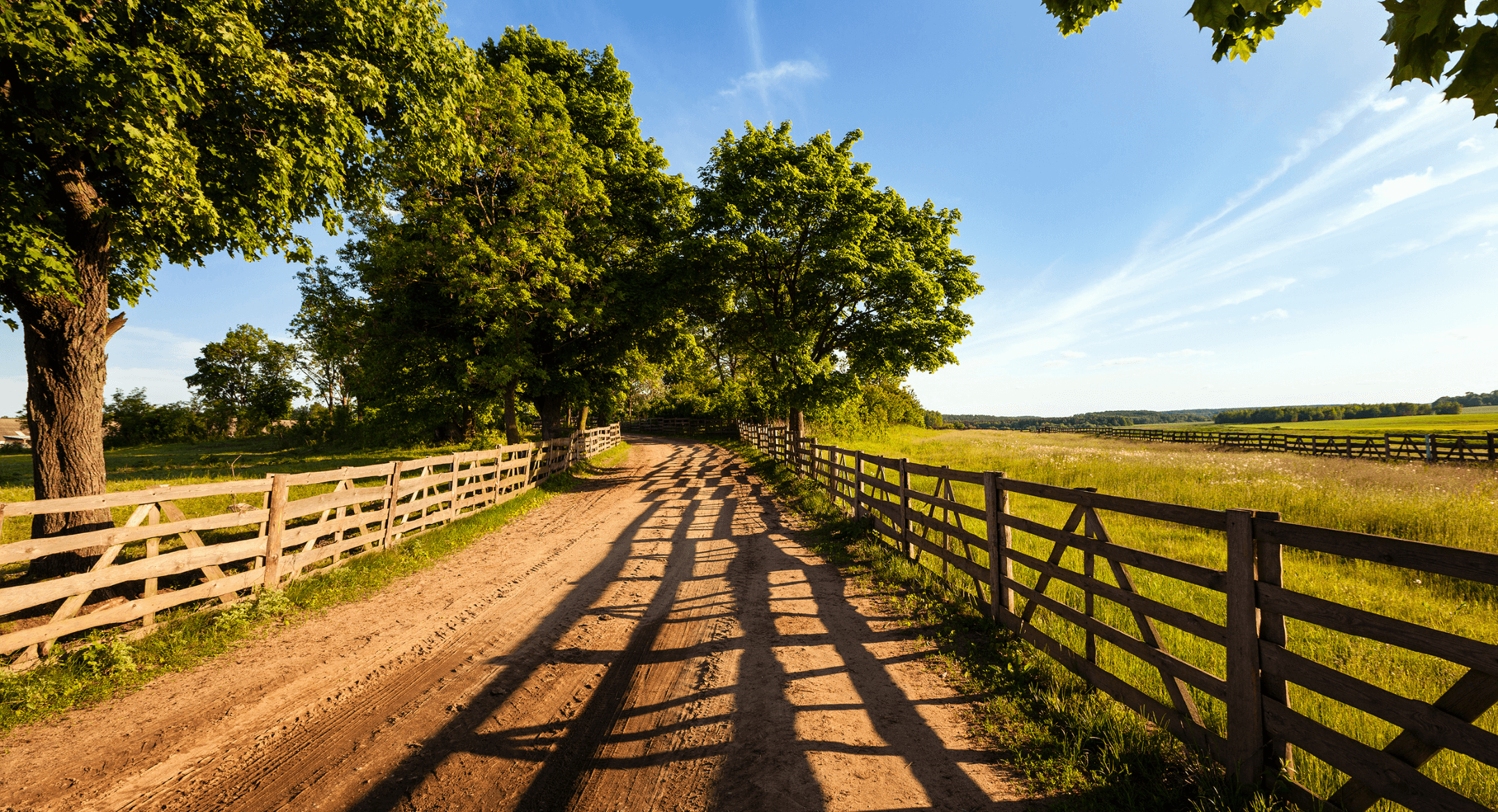 Unlocking the Potential The Benefits of Practicing Dermatology in Rural Areas